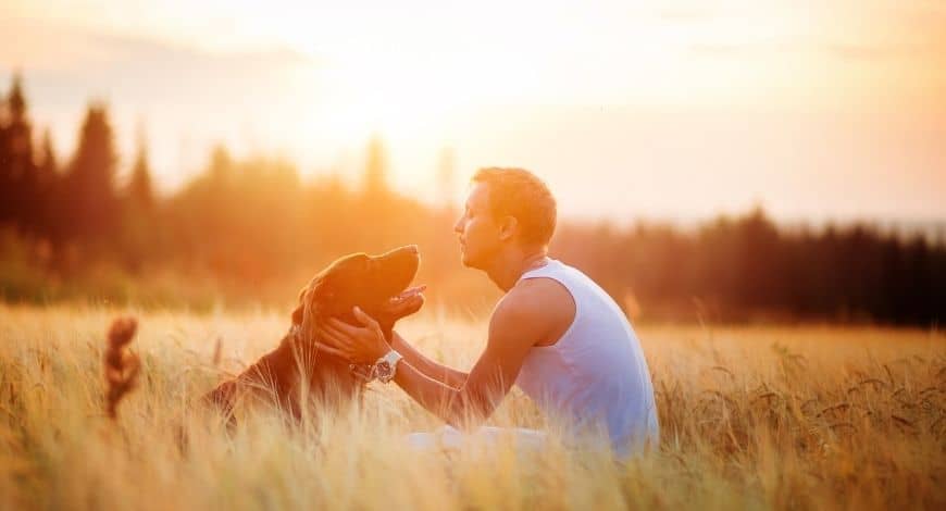 10 consejos para ser el mejor dueño de perros